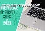 Top survey sites of 2023 text next to laptop